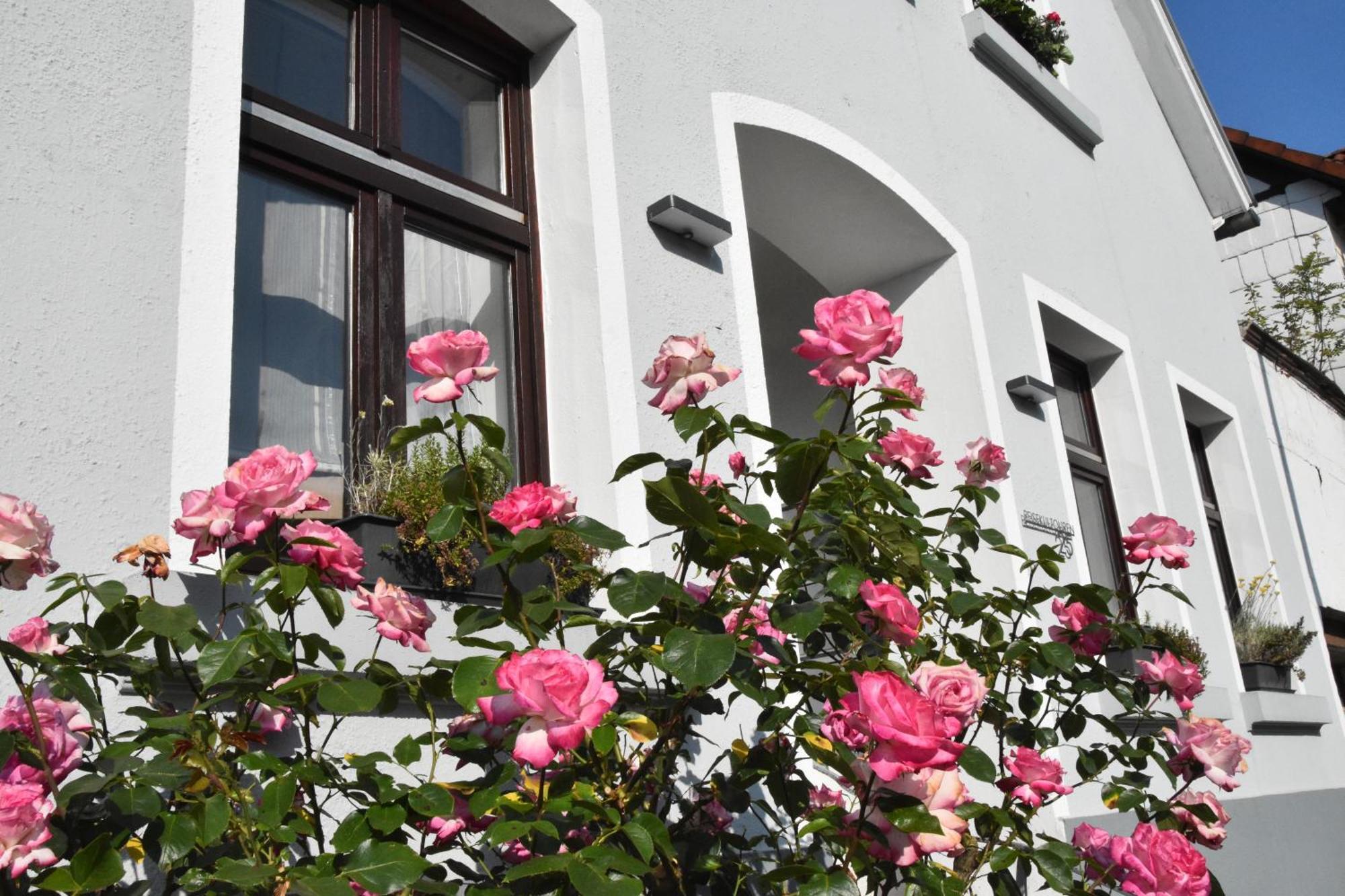 Reisekultouren Apartments Detmold Extérieur photo
